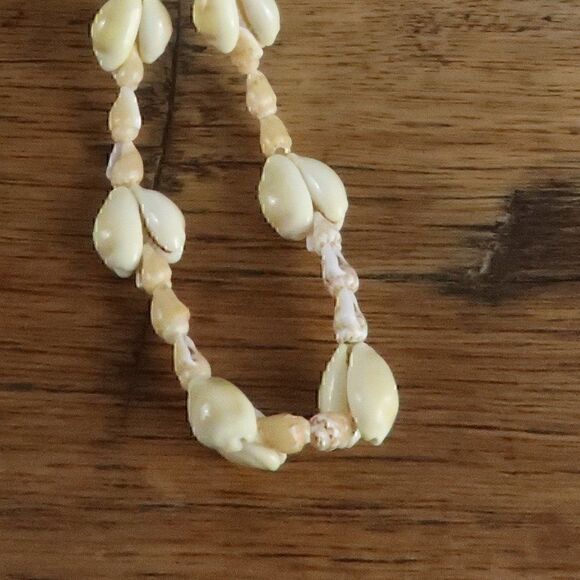 SEASHELL NECKLACE   - Picture 2 of 4